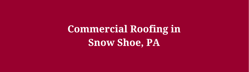 Commercial Roofing in Snow Shoe, PA